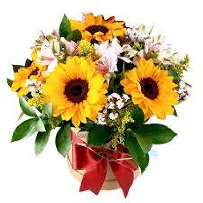 Box de Flores e Girassol